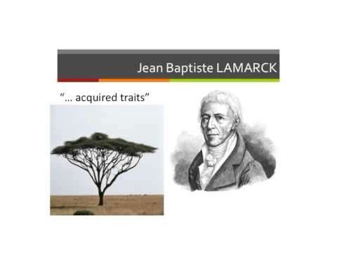 Evolution Theory L1 Lamarck