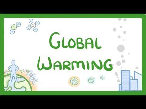 GCSE Biology - Global Warming & Climate Change #64