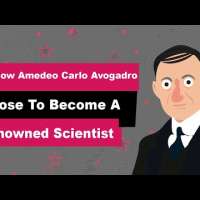 Amedeo Carlo Avogadro Biography | Animated Video