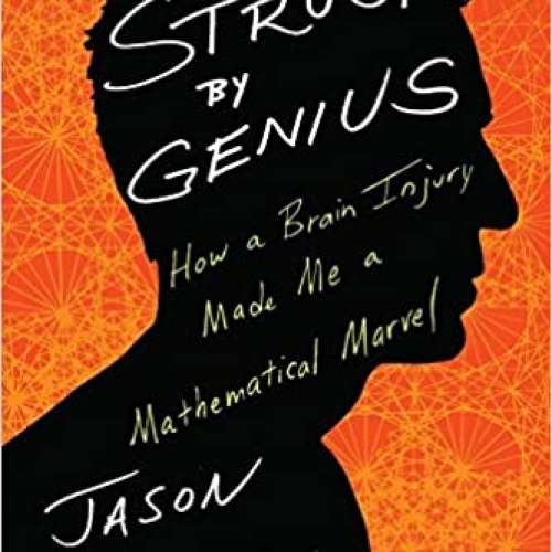 Struck by Genius: How a Brain Injury Made Me a Mathematical Marvel 