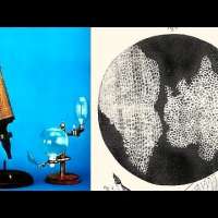 How Robert Hooke Discovered The Cell