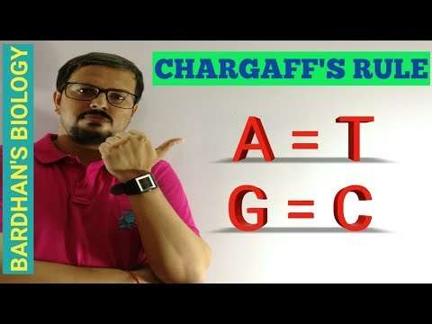 CHARGAFF'S RULE - Erwin Chargaff