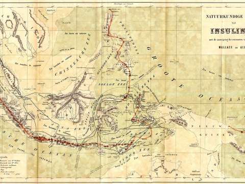 A map from The Malay Archipelago shows the physical geography of the archipelago and Wallace's travels around the area. The thin black lines indicate where Wallace travelled, and the red lines indicate chains of volcanoes.