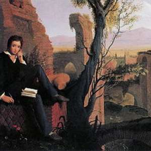 The political fury of Percy Bysshe Shelley