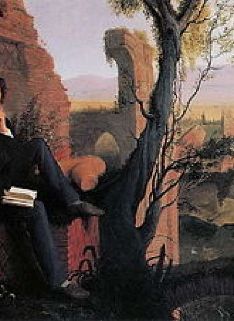 The political fury of Percy Bysshe Shelley