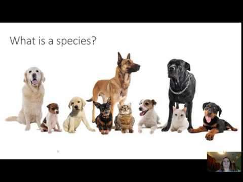 Knowing and Naming Species Part 1