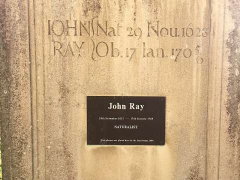 Close-up of memorial to John Ray