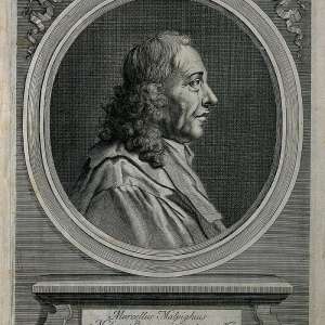Marcello Malpighi and the discovery of the pulmonary capillaries and alveoli