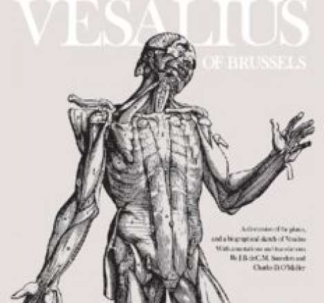 The illustrations from the works of Andreas Vesalius of Brussels