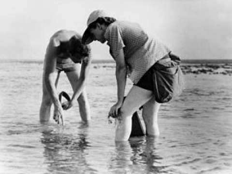 Rachel Carson and Bob Hines researching off the Atlantic coast in 1952