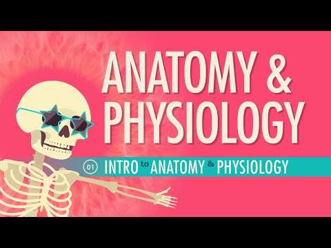 Introduction to Anatomy & Physiology: Crash Course