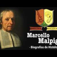 Marcello Malpighi | Biografías de Histólogos