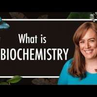 What is Biochemistry? What do Biochemists study? | Biology |