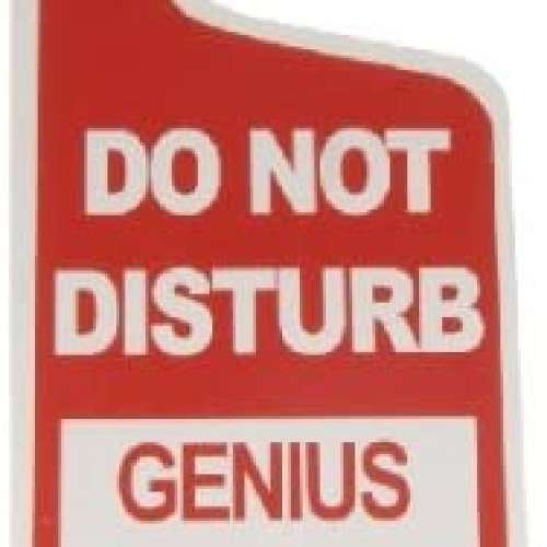 Do Not Disturb...Genius At Work Tin Door Knob 