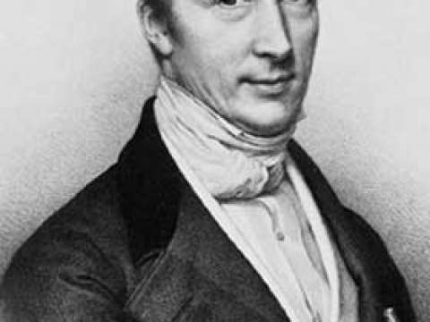 Augustin Louis Cauchy.