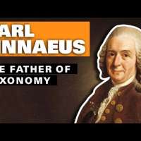 Carl Linnaeus: The Father of Taxonomy