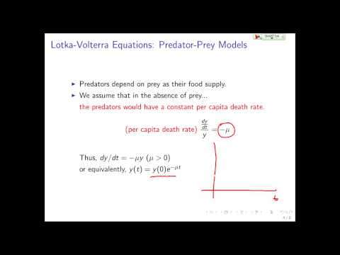 MATH 5880 Lotka Volterra Equations