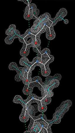 An alpha helix in ultra-high-resolution electron density contours, with O atoms in red, N atoms in blue, and hydrogen bonds as green dotted lines
