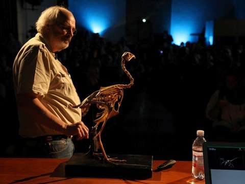Horner with a bird skeleton at an event in the Museo Civico di Storia Naturale di Milano.