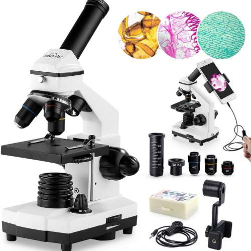 200X-2000X Microscopes