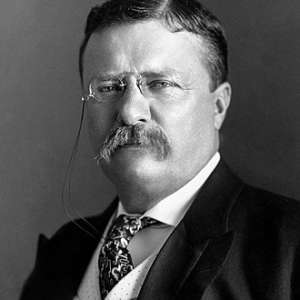 THEODORE ROOSEVELT: IMPACT AND LEGACY