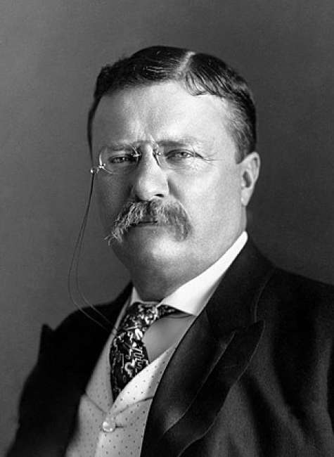THEODORE ROOSEVELT: IMPACT AND LEGACY