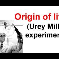 Urey Miller experiment | origin of life
