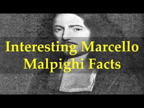 Interesting Marcello Malpighi Facts