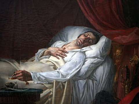 La mort du général Moreau, by Auguste Couder (detail)