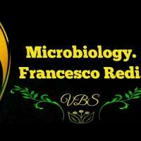 Francesco Redi. History of Microbiology. Redi's Experiment disproving Spontaneous generation.