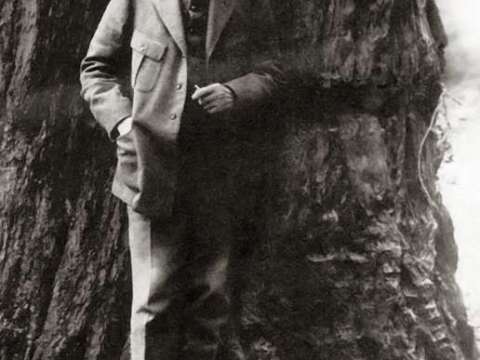  Rachmaninoff in front of a giant Redwood tree in California, 1919