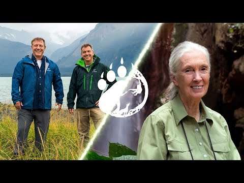 A Creature Conversation with Dr. Jane Goodall and The Kratt Brothers