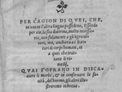 Historia plantarum, 1549