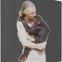 Jane Goodall Canvas Print
