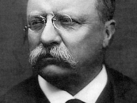 Theodore Roosevelt was Franklin Roosevelt's distant cousin and an important influence on his career.