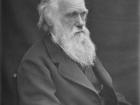 By 1878, an increasingly famous Darwin had suffered years of illness.