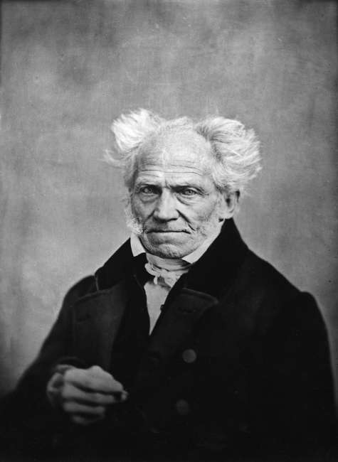 Arthur Schopenhauer and the Current Conception of the Origin of Species