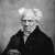 Arthur Schopenhauer and the Current Conception of the Origin of Species