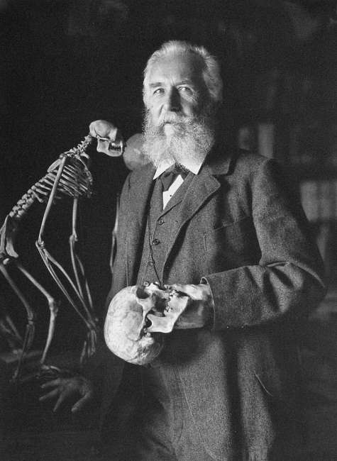 A reappraisal of Ernst Haeckel