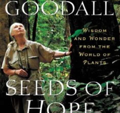 Seeds of Hope: Wisdom and Wonder from the World of Plants