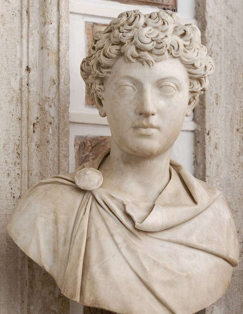 A bust of young Marcus Aurelius (Capitoline Museum). Anthony Birley, his modern biographer, writes of the bust: 'This is certainly a grave young man.'
