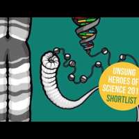 Nettie Stevens: Unsung Heroes of Science 2019