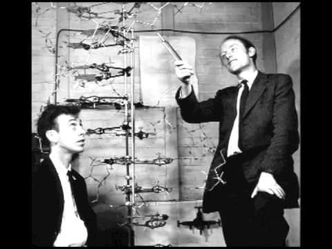 Maurice Wilkins & DNA