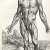 The anatomist Andreas Vesalius at 500 years old