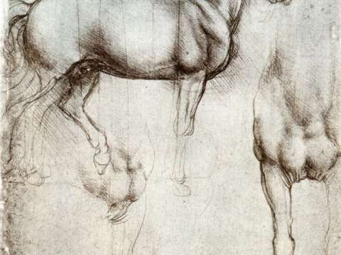 Leonardo's horse in silverpoint, c. 1488