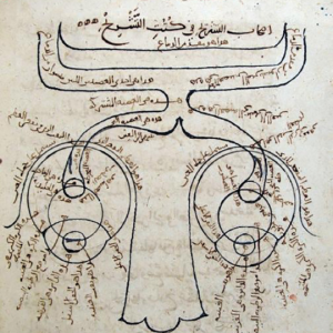 IBN AL-HAYTHAM ON OPTICS AND THE HUMAN EYE
