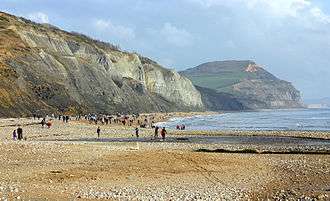 The Jurassic coast at Charmouth, Dorset, where the Annings made some of their finds. The hill in the background is Golden Cap.