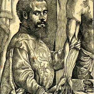Andreas Vesalius: Celebrating 500 years of dissecting nature