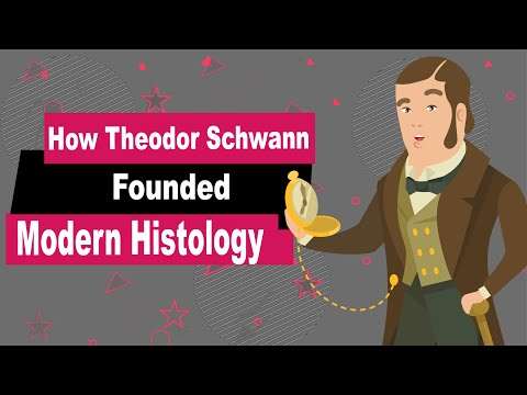 Theodor Schwann Biography | Animated Video