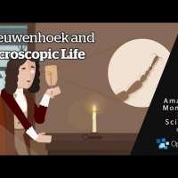 Leeuwenhoek and Microscopic Life